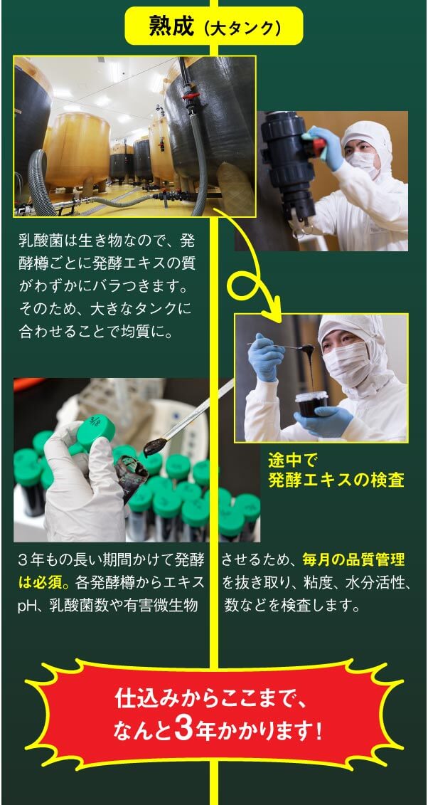 大タンクで熟成。仕込みからここまで、なんと3年かかります！