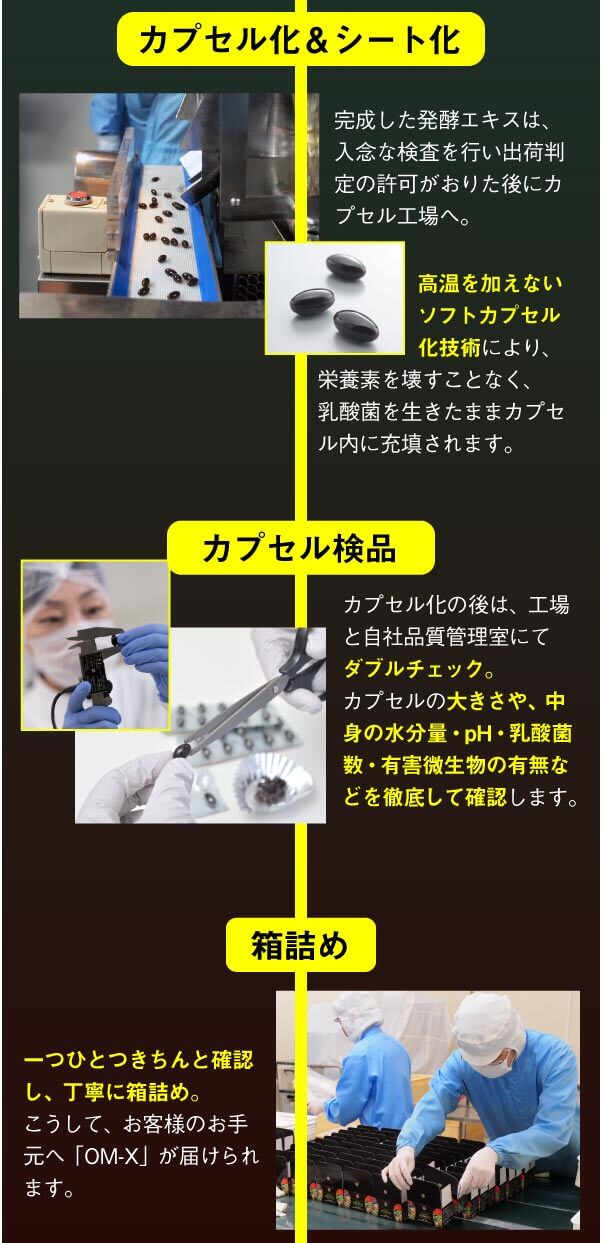 カプセル化＆シート化／カプセル検品／箱詰め