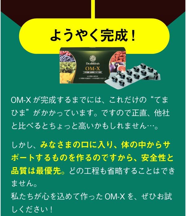 ようやく完成！